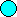 True (cyan circle) glyph